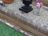 image of grave number 795125